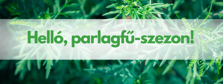 Vasvári Patika | EGYFOLYTÁBAN TÜSSZÖGSZ? Vasvári Patika | EGYFOLYTÁBAN TÜSSZÖGSZ?